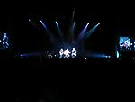 /ext/galleries/ctia-2011/full/LadyAnt1.jpg