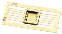 12LEAD2_200pw.jpg