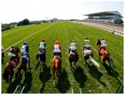 Off to the races