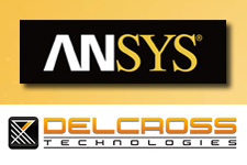 ANSYS-Delcross
