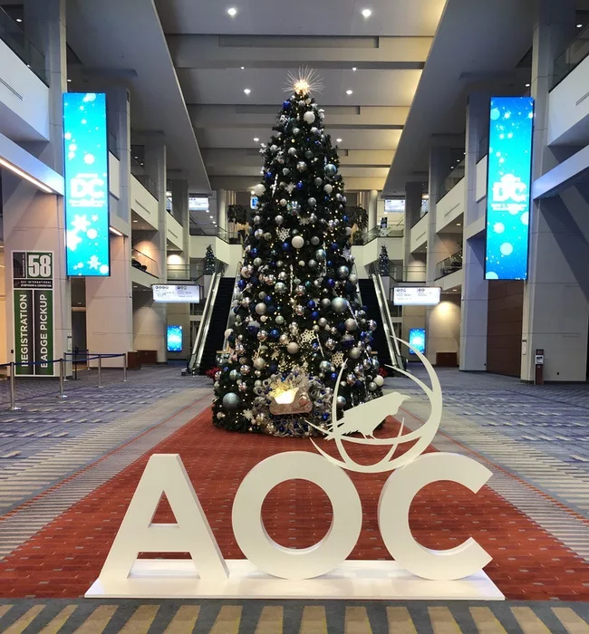 Aoc21 1.webp?alt=aoc21 1