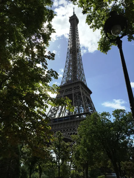 IMG_4595.jpg