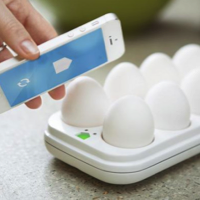 Quirky egg minder.