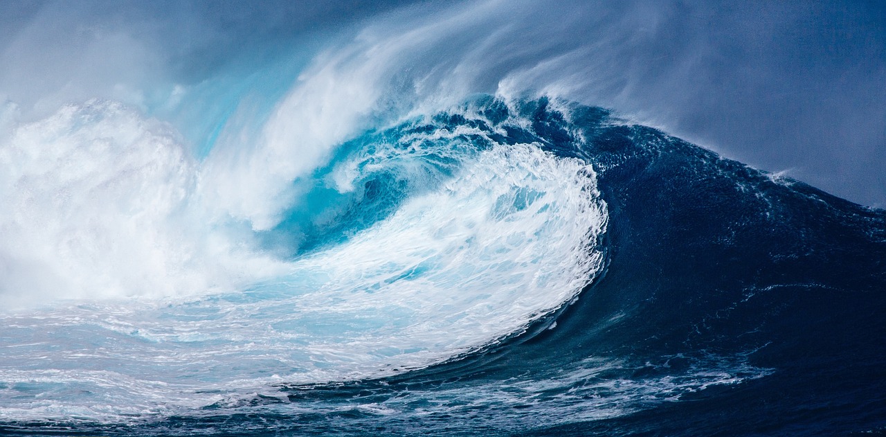 Catch the wave