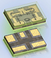 Microsemi