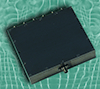 BroadWave Technologies Inc.