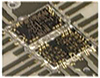 United Monolithic Semiconductors (UMS)