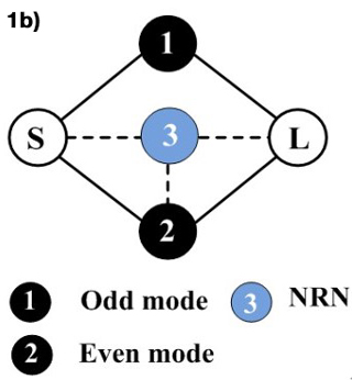 Figure 1b