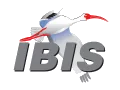 IBIS