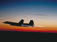 LM