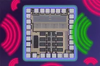 Chip-3-20-23.jpg