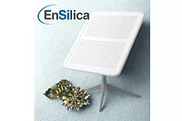 EnSilica