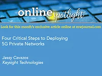 OnlineSpotlight-4Step-11-2021.jpg