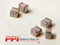 PPI-2-11-21.jpg