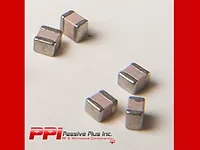 PPI-2-18-21.jpg